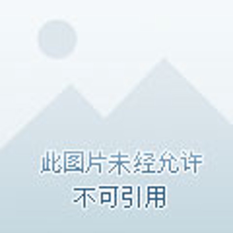文艺创作:从灵感到成品的旅程